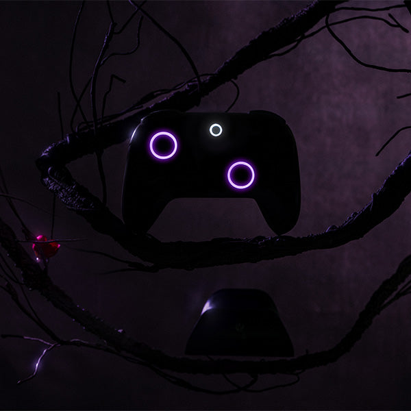 8BitDo Ultimate 2 Wireless Controller (Honkai: Star Rail - Evernight) Premium Gaming Accessory