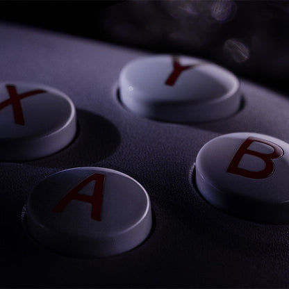 8BitDo Ultimate 2 Wireless Controller (Honkai: Star Rail - Evernight) Premium Gaming Accessory