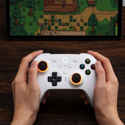 8BitDo Ultimate 2 Wireless Controller Premium Gaming Accessory