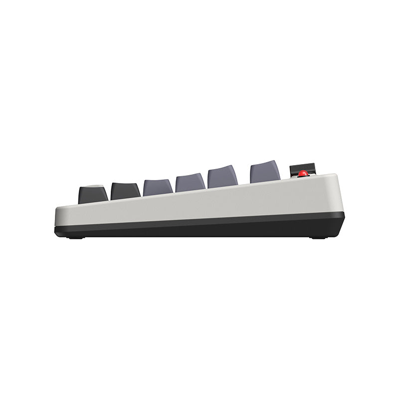 8BitDo Retro Mechanical Keyboard Premium Gaming Accessory
